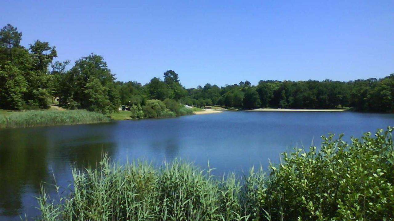 Holiday home La Colline De Tilleul - Les Deux Puits - Cosy With Swimming Pool Near Aubeterre *