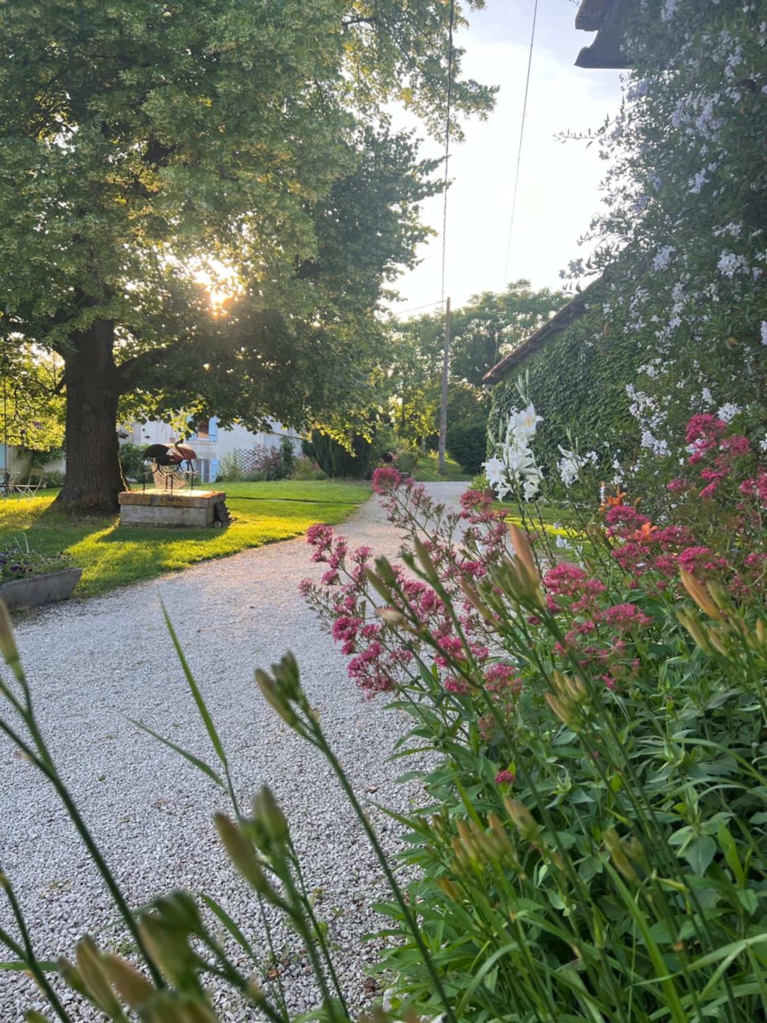 La Colline De Tilleul - Les Deux Puits - Cosy With Swimming Pool Near Aubeterre *