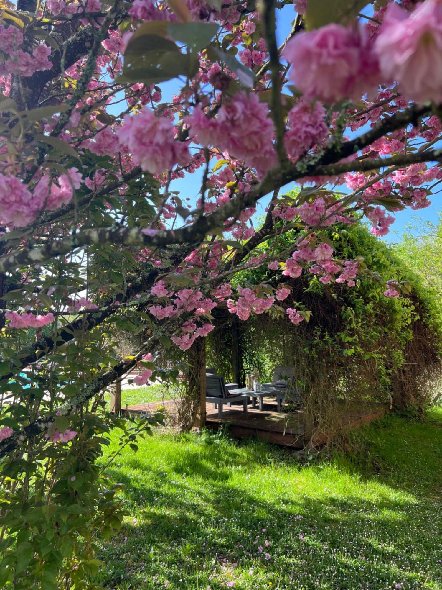 La Colline De Tilleul - Les Deux Puits - Cosy With Swimming Pool Near Aubeterre Holiday home